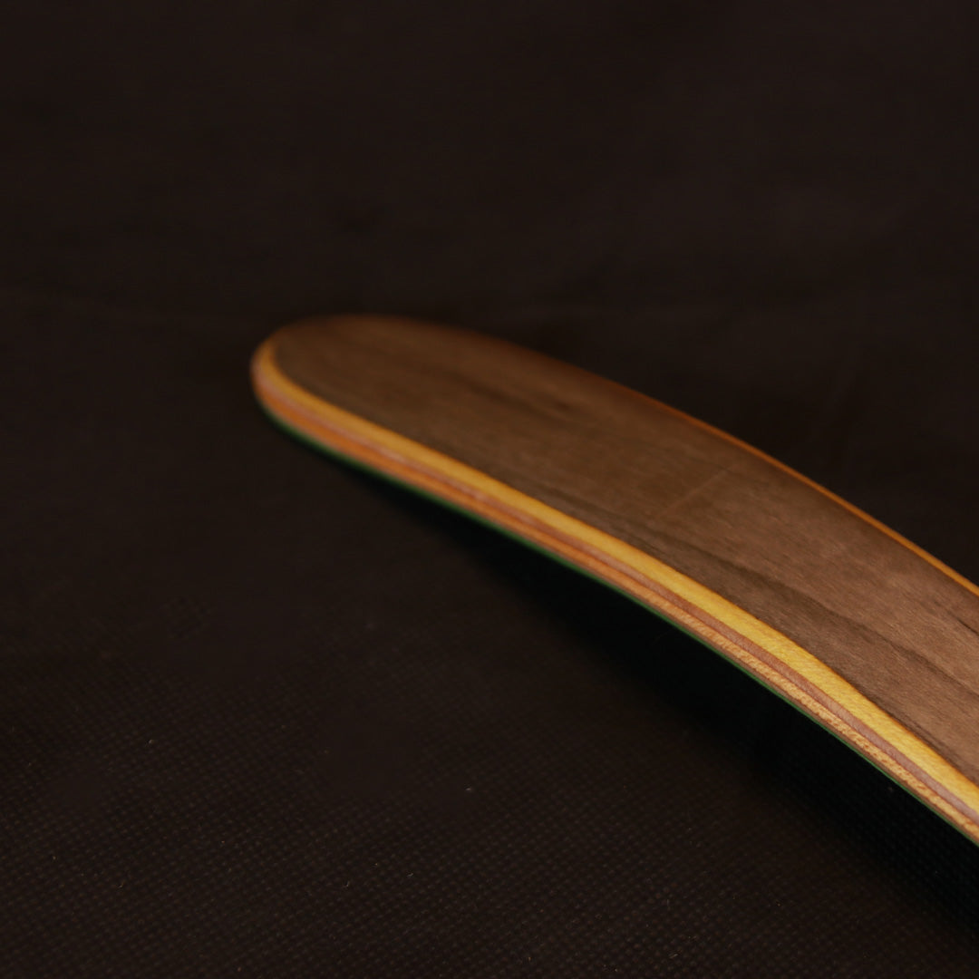 Long shoehorn, Neutral/black